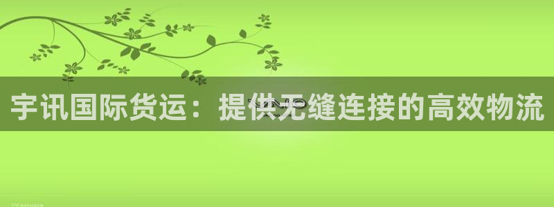 尊龙凯时不朽情缘：宇讯国际货运：提供无缝连接的高效物流