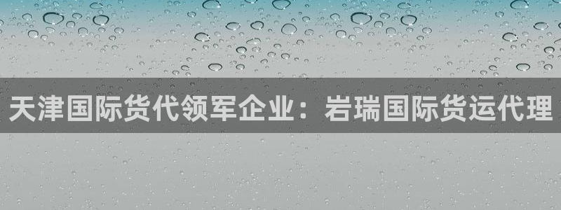 尊龙凯时开发：天津国际货代领军企业：岩瑞国际货运代理